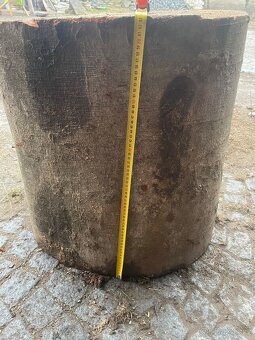 Prodám 2 ks masivních dřevěných špalků - 5