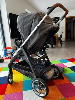Inglesina - 5