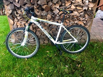 Juniorské kolo 24" ALPINA ECO M10 - 5