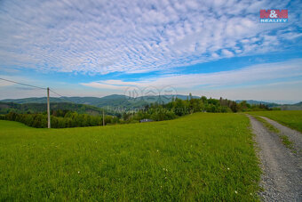 Prodej louky, 15730 m², Rajnochovice - 5
