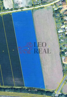 Prodej stavebního pozemku 15.426 m2, Český Brod - Štolmíř - 5