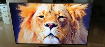 Televize LG Led Smart 4K 140 cm 55 palcu - 5