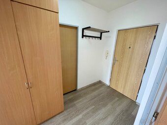 Pronájem bytu 1+1, 36 m2, Písek, Dr. M. Horákové - 5