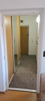 Pronájem bytu 1+1 Ostrava Hrabůvka - 5