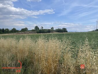 Prodej, pozemky/bydlení, 788 m2, Hustopeče, Břeclav [ID 7392 - 5