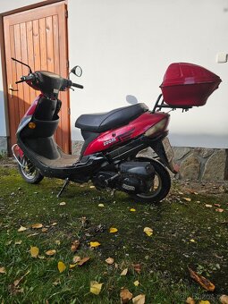 Kentoya zoom 50ccm - 5