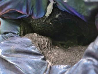 Dívčí/dámské zimní boty Baťa vel 40 - 5