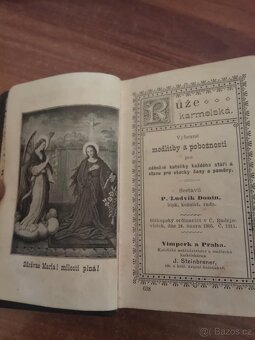 Prodám Ruže karmelska 1905 - 5