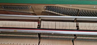 Piano Solton - Renner - 5