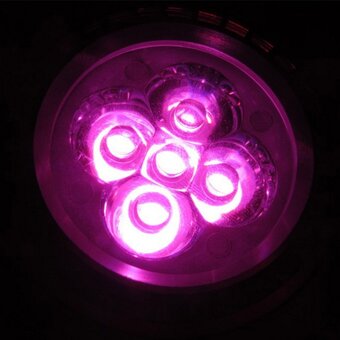 Pěstební LED žárovka 5W - černá, patice E27 (do lampičky) - 5