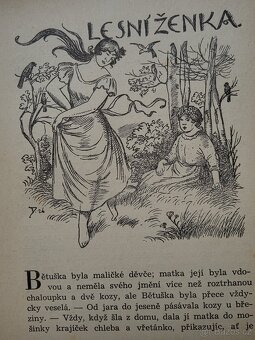 B.Němcová - Zlatá kniha pohádek - sběratelská kniha - 5