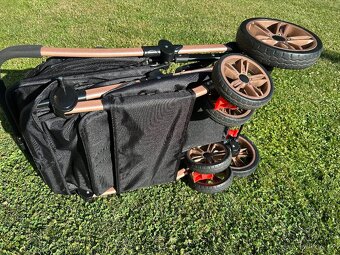 Kocarek pro psy - 5