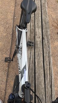 Specialized Rockhopper 29", pro jedzce od 165 - 5