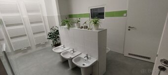 Rekonstrukce bytů a domů - 5