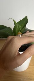 starožitný stříbrný prsten se žlutým kamenem - 5