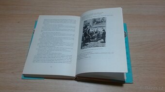 Verne - Tajuplný ostrov - 5