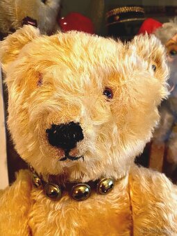 Starý plyšový medvídek Steiff s knoflíkem, výška 46 cm, 20. - 5