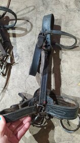 Uzdečky pony, uzdečky shetty a provazová ohlávka pony - 5