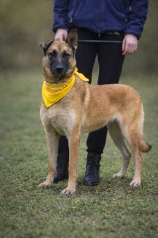 Meggy hledá domov - 5