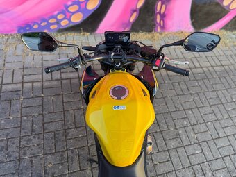 Honda CB500F Hornet 🐝(2022) – jen 4699 km - 5