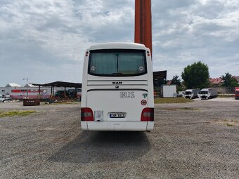 Man Lion's Coach - 5