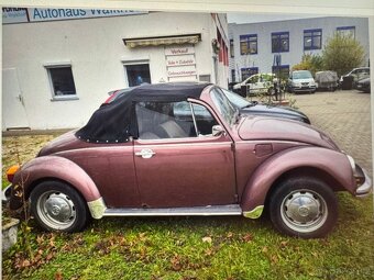 Volkswagen New Beetle - 5