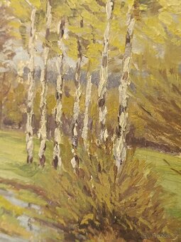 Obraz Petr Rýdlo, Jaroměř, olej 46x55 - 5
