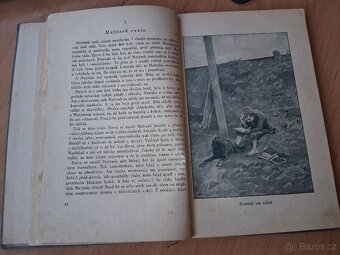 Kniha z roku 1919 DOKTOR HRBÁČEK Román dítěte  H.Špolc - 5