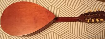 Mandolína italského tvaru - 5