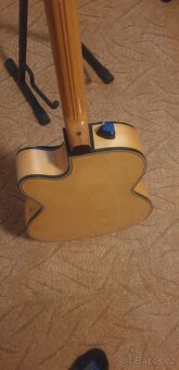 Akusticka kytara Nemeckeho vyrobce Taco 1950 - 5