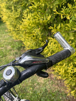 kolo Leader Fox Spider - 5