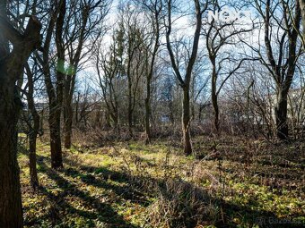 Prodej pozemek Bydlení, 455㎡ - 5
