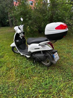 Prodám skútr - 5