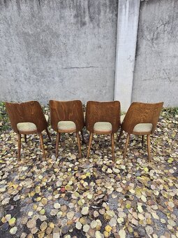 Staré židle TON Oswald Haerdtl zachovalé levně - 5