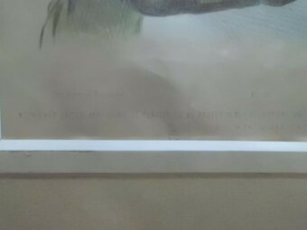 Starožitné Ručně Kolorované Litografie CHEZ AUBERT cca 1830 - 5