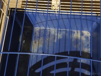 Klec morče/králík - 5