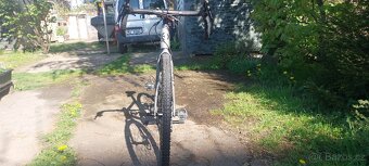Gravel Kellys Soot 50 - 5