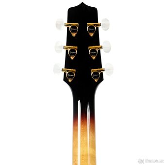 Takamine EF-450C-TT Brown Sunburst with case - 5