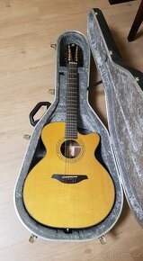Dvanáctistrunná akustická kytara FURCH S23 CR12 cut - 5