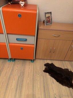 Studentský pokoj - 5