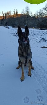 Do dobrých rukou - 5