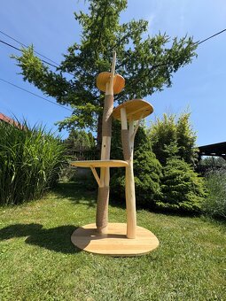 Kočičí strom - 5