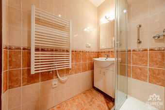 Prodej bytu 2+1 s lodžií, 52 m², Uherské Hradiště - Štěpnick - 5