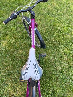 core nipper 24 - 5