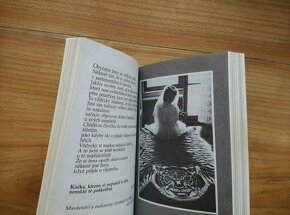 Myšlenky do kapsy, humor, fotografie Jindřich Štreit- SLEVA - 5