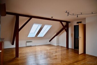 Prostorný byt 1+kk ve Vyškově, ev.č. N08044 - 5