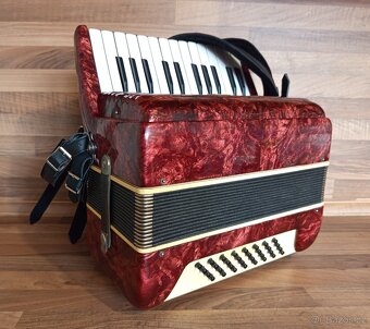 Akordeon (harmonika, heligonka) Delicia Lignatone - 5