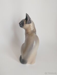 Královská Kodaň - siamská kočka - 5