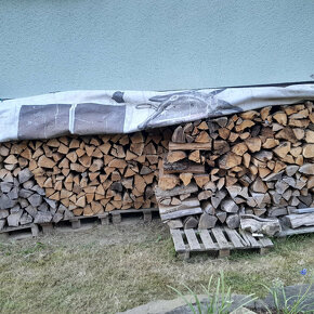 tvrde suche palivové dřevo - 5