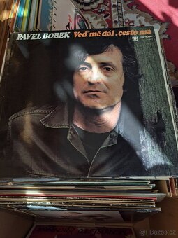 Desky, více jak 150 ks, pop, country, dechovka - 5